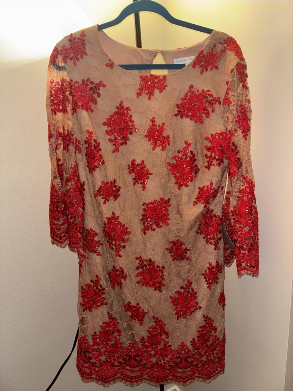 Dress the Population Beige Lace Dress with Red Lace Sequin